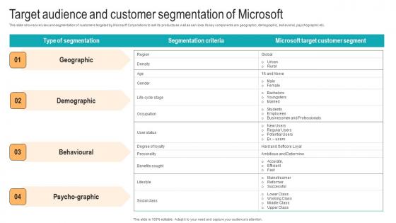 Target Audience And Customer Segmentation Strategic Advancements By Microsofts Brochure Pdf