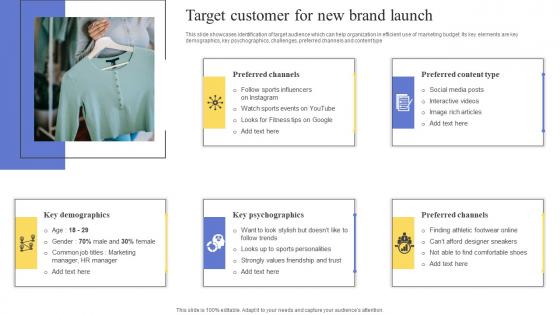 Target Customer For New Brand Launch Maximizing Revenue Using Sample Pdf