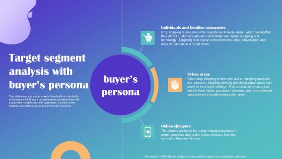 Target Segment Analysis With Buyers Persona Drop Shipping Business Plan Designs Pdf