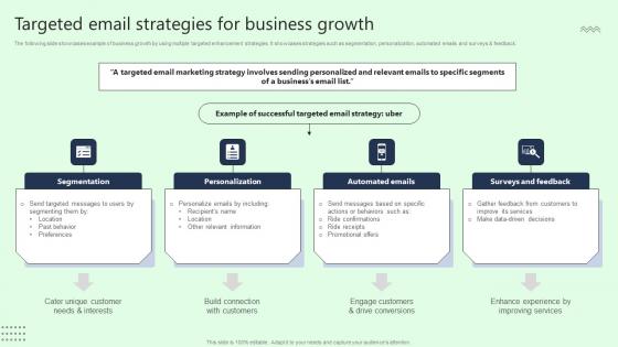 Targeted Email Strategies For Business Growth Professional Pdf