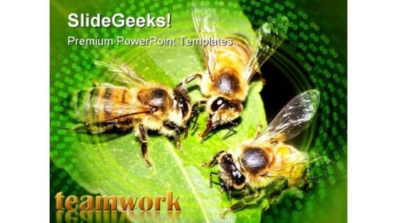 Teamwork Leadership PowerPoint Template 0510 Teamwork Leadership PowerPoint Template 0510