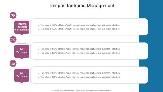 Temper Tantrums Management In Powerpoint And Google Slides Cpb