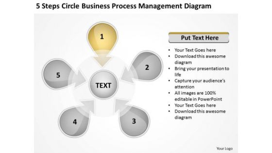 Templates Process Management Diagram Business Plan Format PowerPoint