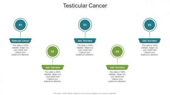 Testicular Cancer In Powerpoint And Google Slides Cpb