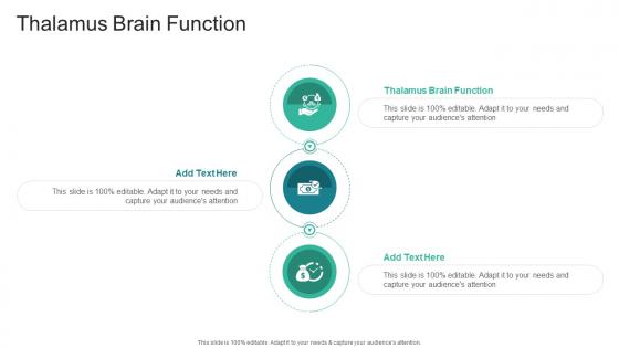 Thalamus Brain Function In Powerpoint And Google Slides Cpb