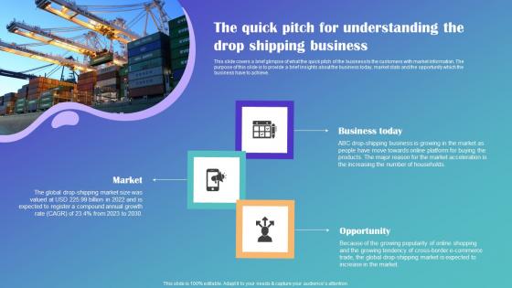 The Quick Pitch For Understanding The Drop Shipping Drop Shipping Business Plan Topics Pdf