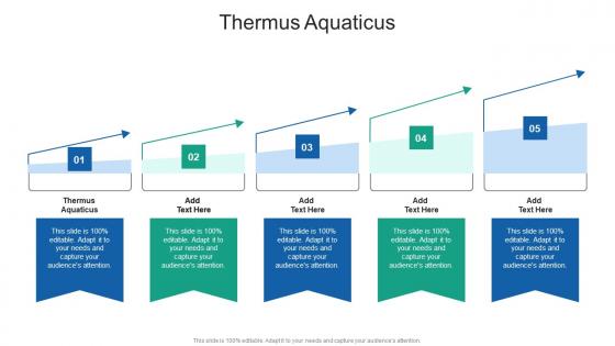 Thermus Aquaticus In Powerpoint And Google Slides Cpb