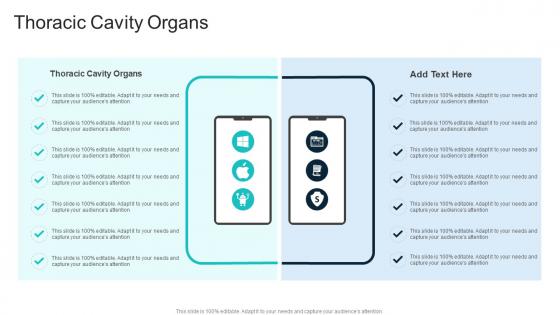 Thoracic Cavity Organs In Powerpoint And Google Slides Cpb