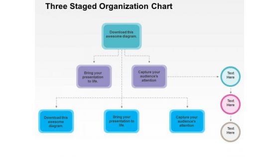 Three Staged Organization Chart PowerPoint Template