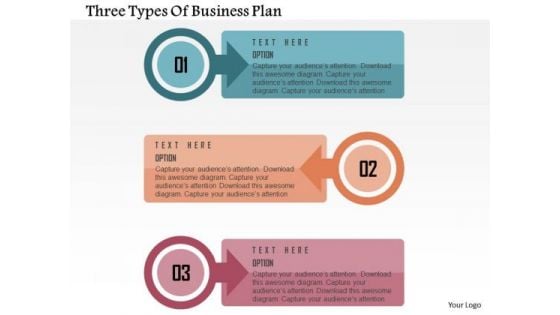 Three Types Of Business Plan Presentation Template