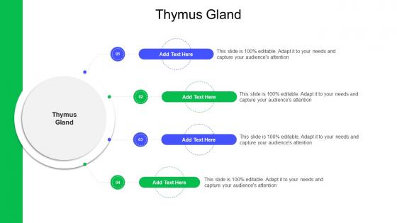 Thymus Gland In Powerpoint And Google Slides Cpb