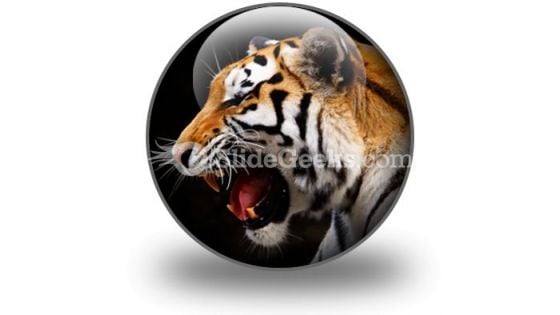 Tiger PowerPoint Icon C