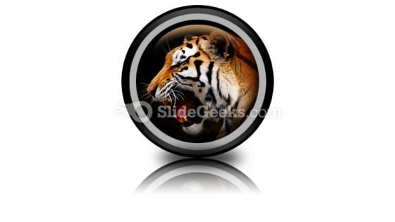 Tiger PowerPoint Icon Cc