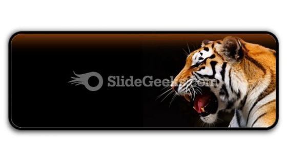 Tiger PowerPoint Icon R Tiger PowerPoint Icon R