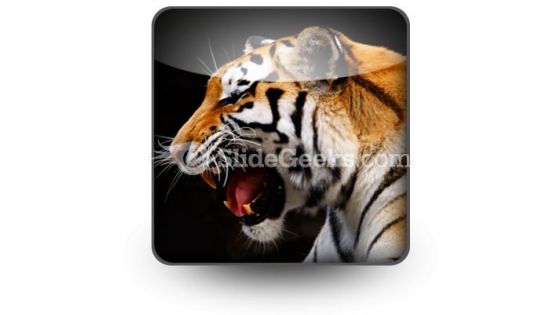 Tiger PowerPoint Icon S