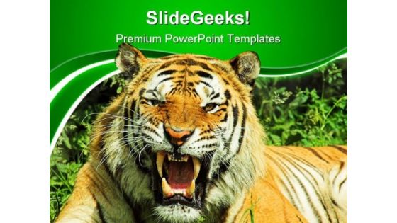 Tiger Snarl Animals PowerPoint Templates And PowerPoint Backgrounds 0411