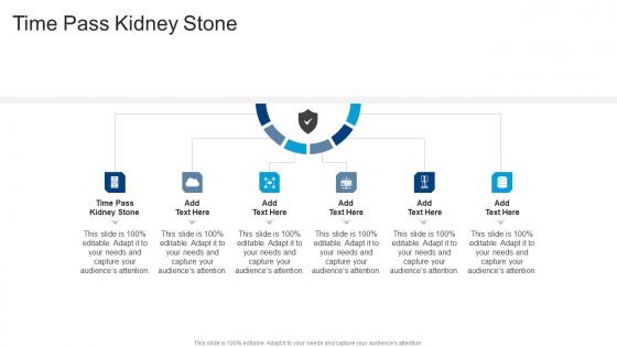 Time Pass Kidney Stone In Powerpoint And Google Slides Cpb