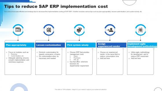 Tips To Reduce SAP ERP Implementation Cost Ppt Layouts Graphics Pictures Pdf