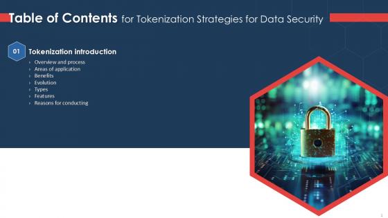 Tokenization Strategies For Data Security For Table Of Content PPT Template Tokenization Strategies For Data Security For Table Of Content PPT Template