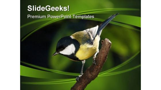 Tomtit On Branch Nature PowerPoint Themes And PowerPoint Slides 0211