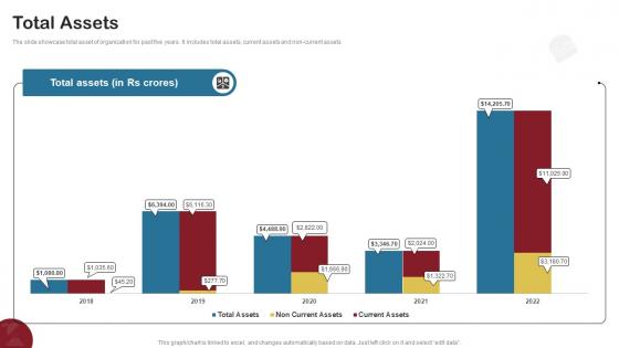 Total Assets Food Delivery Company Profile CP SS V