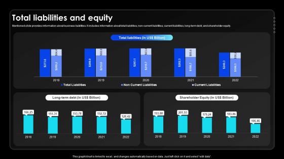 Total Liabilities And Equity Wireless Communication Services Provider Company Profile CP SS V