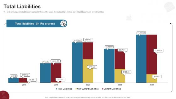 Total Liabilities Food Delivery Company Profile CP SS V