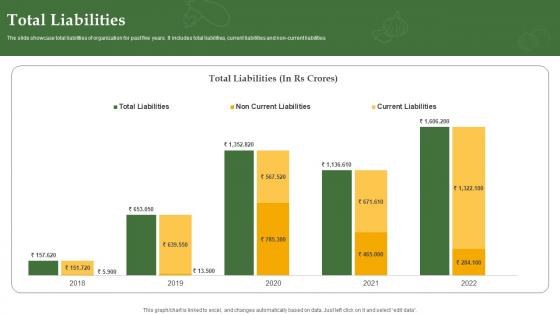 Total Liabilities Grocery Delivery Company Profile CP SS V