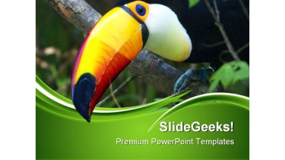 Toucan Animals PowerPoint Templates And PowerPoint Backgrounds 0511