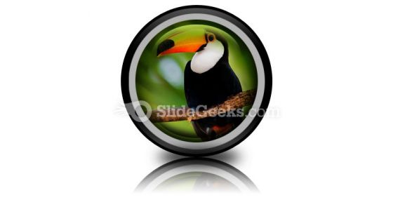 Toucan PowerPoint Icon Cc