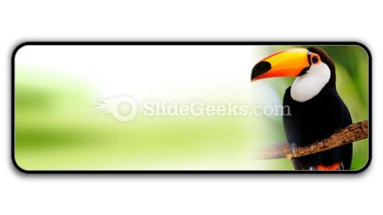 Toucan PowerPoint Icon R