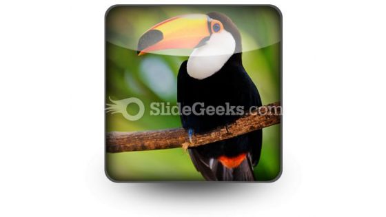 Toucan PowerPoint Icon S