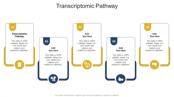 Transcriptomic Pathway In Powerpoint And Google Slides Cpb