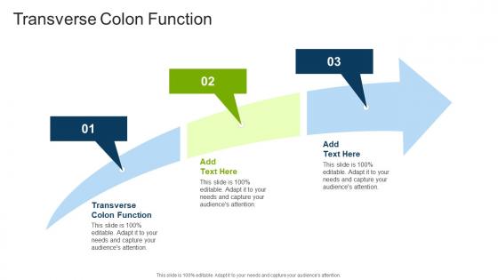 Transverse Colon Function In Powerpoint And Google Slides Cpb