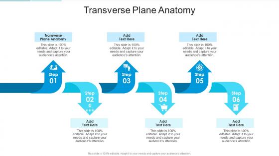 Transverse Plane Anatomy In Powerpoint And Google Slides Cpb