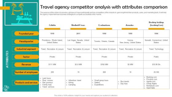 Travel Agency Competitor Analysis Group Tour Operator Business Plan Go To Market Strategy Themes Pdf