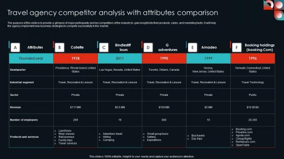 Travel Agency Competitor Analysis With Cultural Travel Agency Business Plan Infographics Pdf