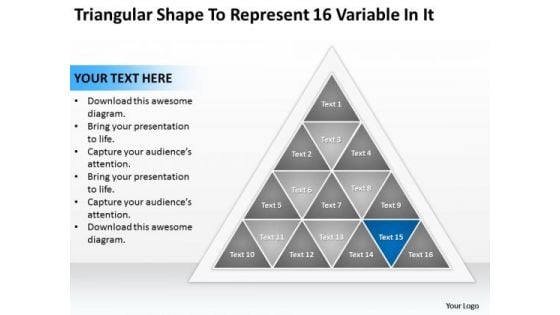 Triangular Shape To Represent 16 Variable In It Business Plan Company PowerPoint Slides