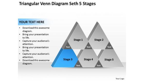 Triangular Venn Diagram Seth 5 Stages Ppt Successful Business Plan PowerPoint Slides