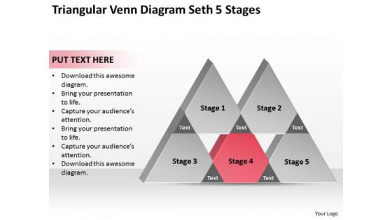 Triangular Venn Diagram Seth 5 Stages Ppt Write Business Plan Template PowerPoint Slides