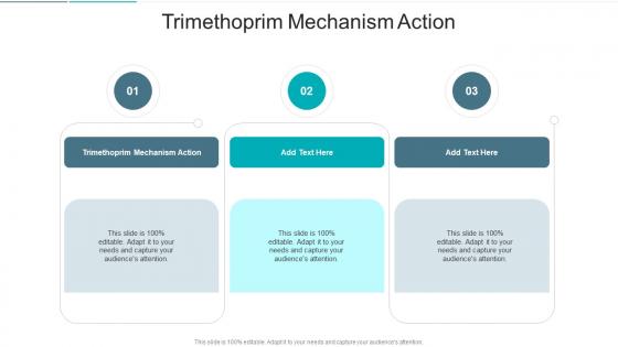 Trimethoprim Mechanism Action In Powerpoint And Google Slides Cpb