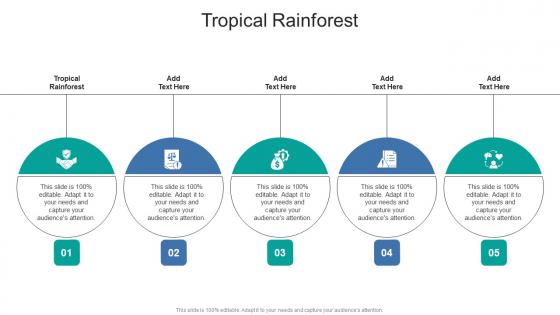 Tropical Rainforest In Powerpoint And Google Slides Cpb