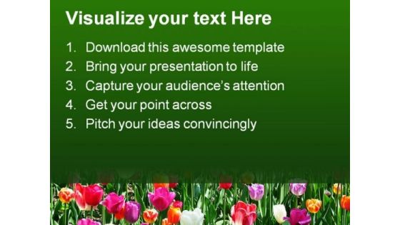 Tulip Field Beauty PowerPoint Templates And PowerPoint Backgrounds 0211
