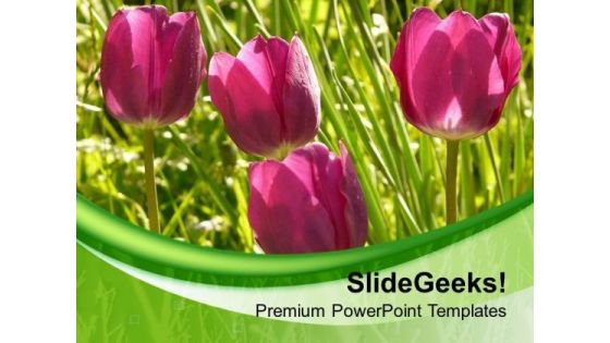 Tulip Flower Background With Green Color PowerPoint Templates Ppt Backgrounds For Slides 0713