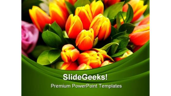 Tulip Flowers Beauty PowerPoint Templates And PowerPoint Backgrounds 0311