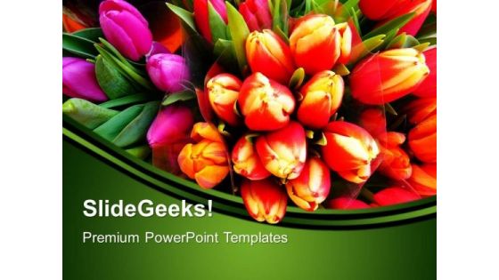 Tulip Flowers Nature PowerPoint Templates And PowerPoint Themes 0512