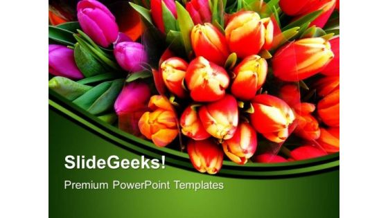 Tulip Flowers Nature PowerPoint Templates And PowerPoint Themes 0512