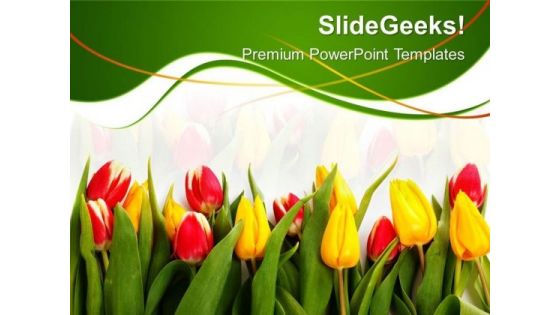 Tulips01 Beauty PowerPoint Templates And PowerPoint Themes 0512