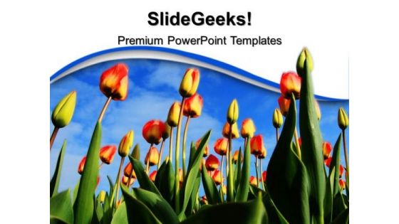 Tulips Background PowerPoint Templates And PowerPoint Themes 0512