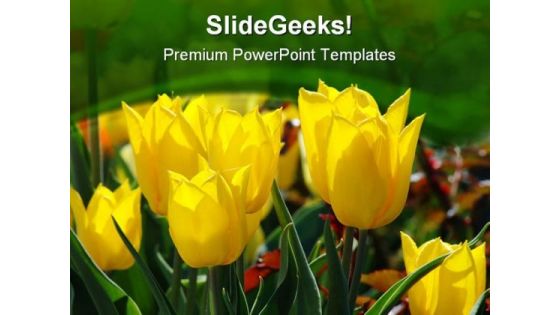 Tulips Beauty PowerPoint Template 0610